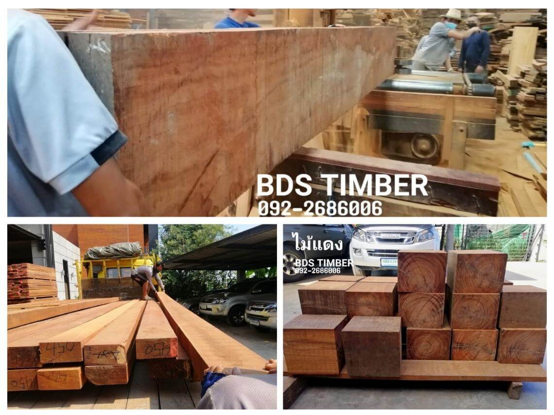 ไม้แดง BDS TIMBER