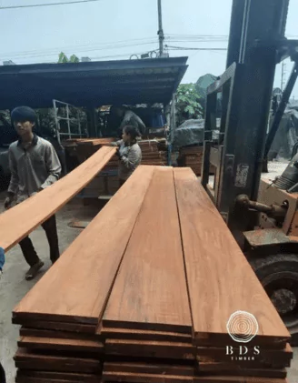 Burmese ironwood bdstimber